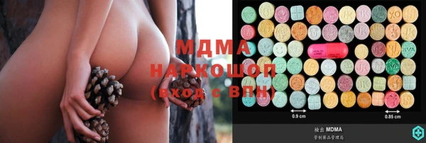 дурь Инта
