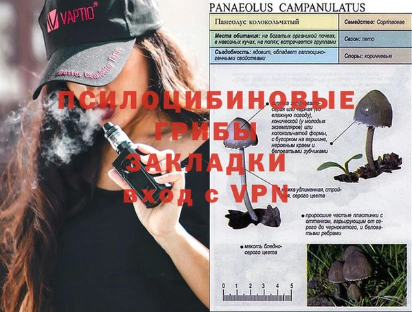 дурь Инта