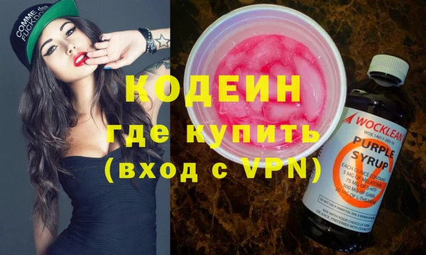 дурь Инта