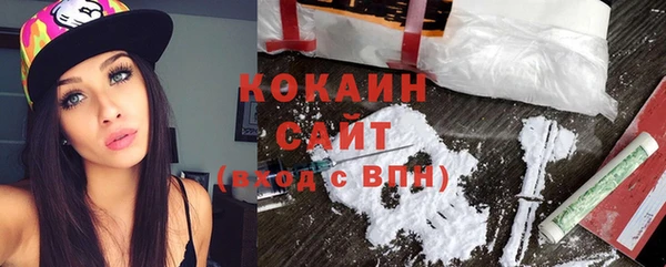 дурь Инта