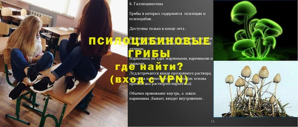 дурь Инта