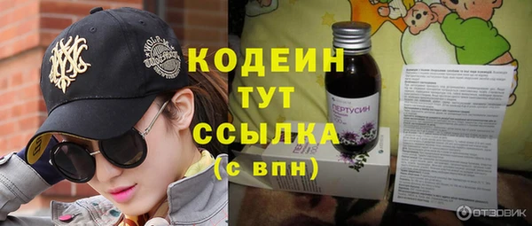 дурь Инта