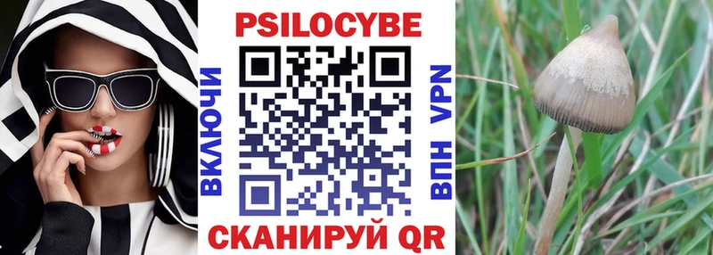 Галлюциногенные грибы мицелий  Купить закладки  Заозёрный 